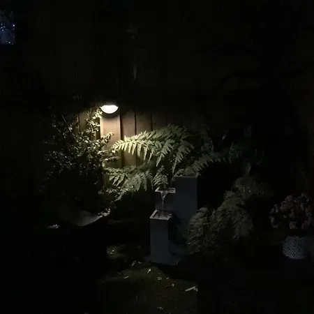 Tranquil Garden Studio Tauranga Exterior photo