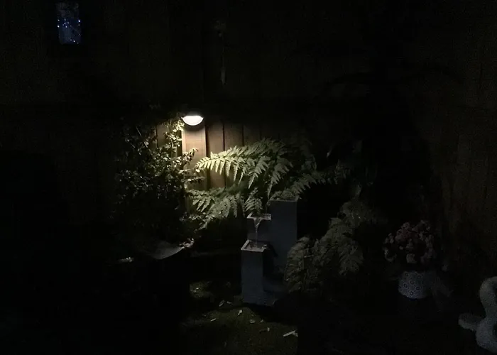 Tranquil Garden Studio