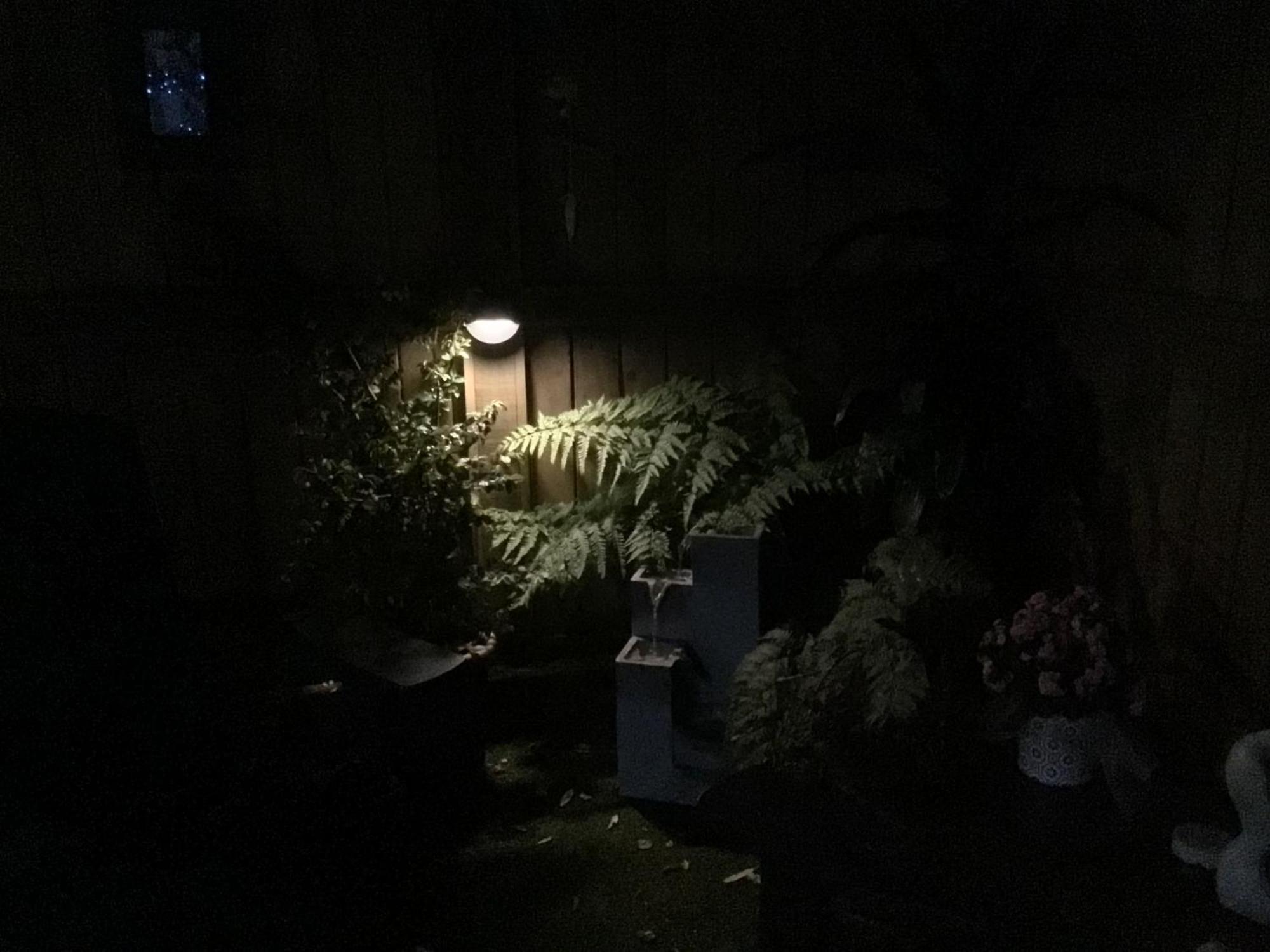 Tranquil Garden